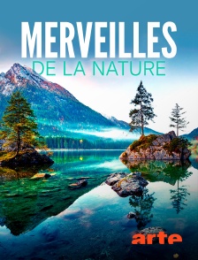 Arte - Merveilles de la nature en replay