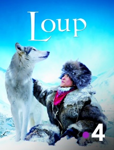 France 4 - Loup