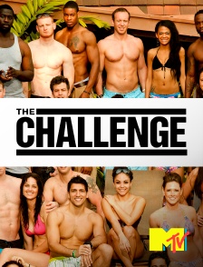 MTV - The Challenge : Vendettas