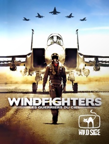 Molotov channels - Windfighters : les guerriers du ciel