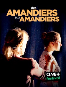 CINE+ Festival - Des Amandiers aux Amandiers