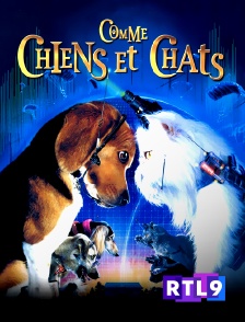 RTL 9 - Comme chiens et chats