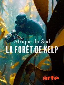 Arte - Afrique du Sud : La forêt sous-marine de kelp