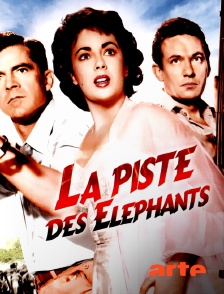 Arte - La piste des éléphants