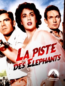 Paramount Channel - La piste des éléphants