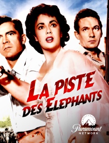 Paramount Network - La piste des éléphants