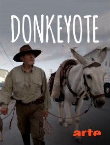 Arte - Donkeyote