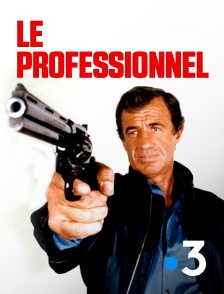 France 3 - Le professionnel