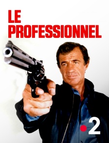 France 2 - Le professionnel