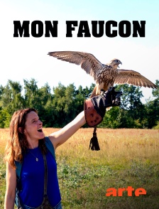 Arte - Mon faucon