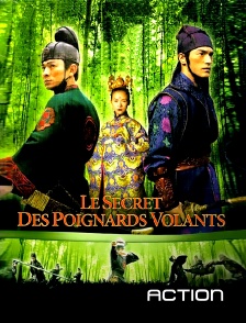 Action - Le secret des Poignards volants