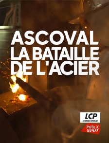 LCP Public Sénat - Ascoval, la bataille de l'acier