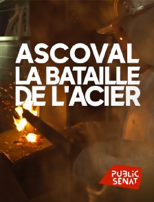 Public Sénat - Ascoval, la bataille de l'acier