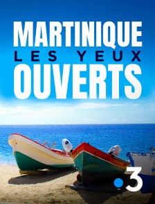 France 3 - Martinique, les yeux ouverts