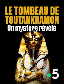 France 5 - Le tombeau de Toutânkhamon, un mystère révélé