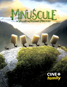 CINE+ Family - Minuscule : la vallée des fourmis perdues