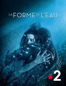 France 2 - La forme de l'eau