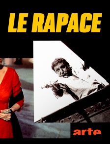 Arte - Le rapace