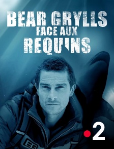 France 2 - Bear Grylls face aux requins