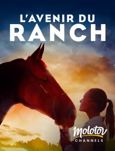 Molotov channels - L'avenir du ranch