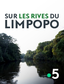 France 5 - Sur les rives du Limpopo