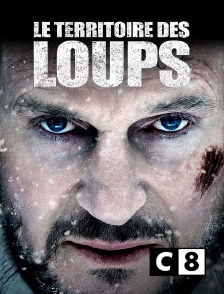 C8 - Le territoire des loups