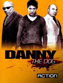 Action - Danny the Dog