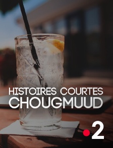 France 2 - Histoires courtes : Chougmuud