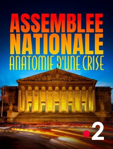 France 2 - Assemblée nationale, anatomie d'une crise en replay