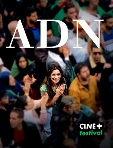 CINE+ Festival - ADN