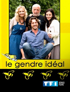 TF1 Séries Films - Le gendre idéal