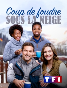 TF1 - Coup de foudre sous la neige