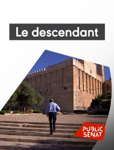 Public Sénat - Le descendant