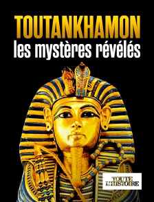 Toute l'Histoire - Toutankhamon, les mystères révélés