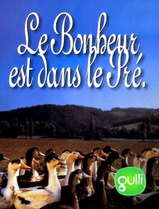 Gulli - Le bonheur est dans le pré