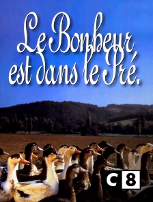 C8 - Le bonheur est dans le pré