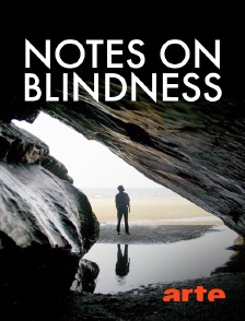 Arte - Notes on Blindness