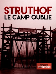 Toute l'Histoire - Struthof, le camp oublié