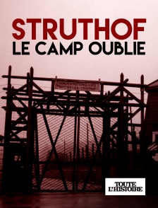 Toute l'Histoire - Struthof, le camp oublié