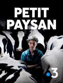 France 3 - Petit Paysan