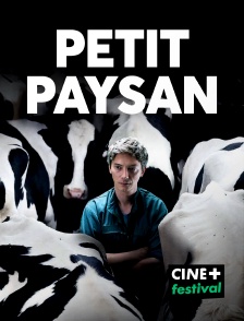 CINE+ Festival - Petit Paysan