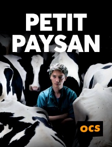 OCS - Petit Paysan