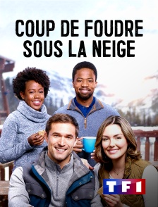 TF1 - Coup de foudre sous la neige