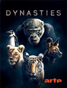 Arte - Dynasties