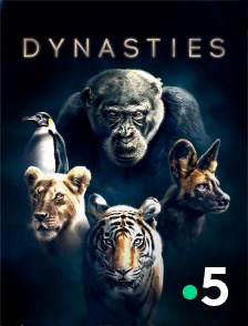 France 5 - Dynasties