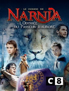 C8 - Le monde de Narnia : l'odyssée du Passeur d'aurore