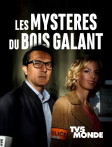 TV5MONDE - Les mystères du Bois Galant