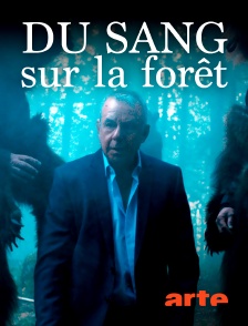 Arte - Du sang sur la forêt