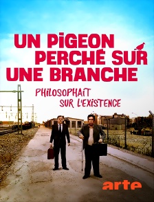 Arte - Un pigeon perché sur une branche philosophait sur l’existence