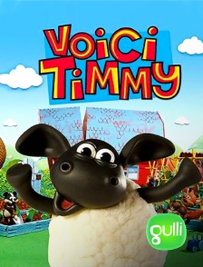 Gulli - Voici Timmy